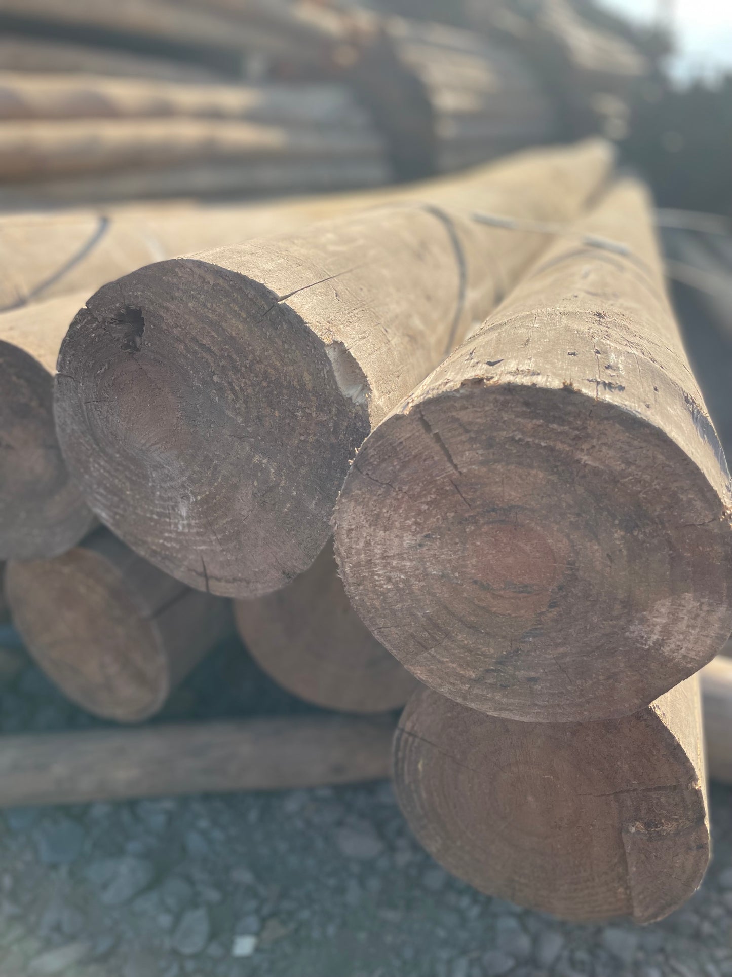 Poste Impregnado 6 a 7 Pulgadas En 8,00 Metros